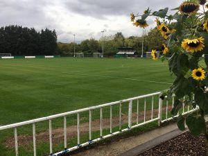 corinthian farm longfield