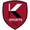 K sports badge 100