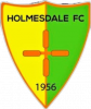 Holmesdale badge 100