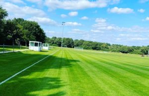 chessington & Hook pitch