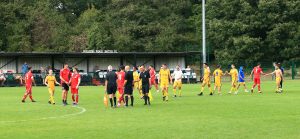 Les Biggs: SCEFL Photos - Whitstable Town