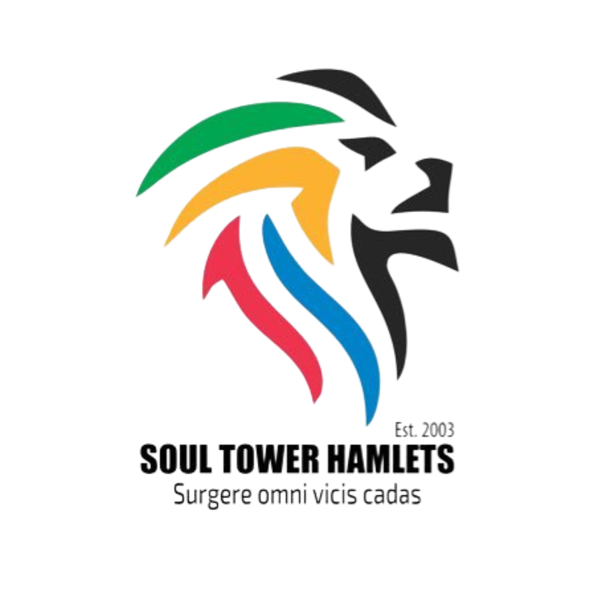 Soul Tower Hamlets