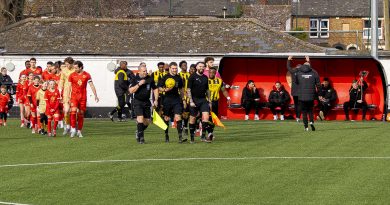 PHOTOS – Whitstable Town v Larkfield & New Hythe