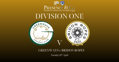 Greenways v Bridon Ropes