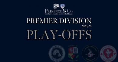 Premier Division Play Offs